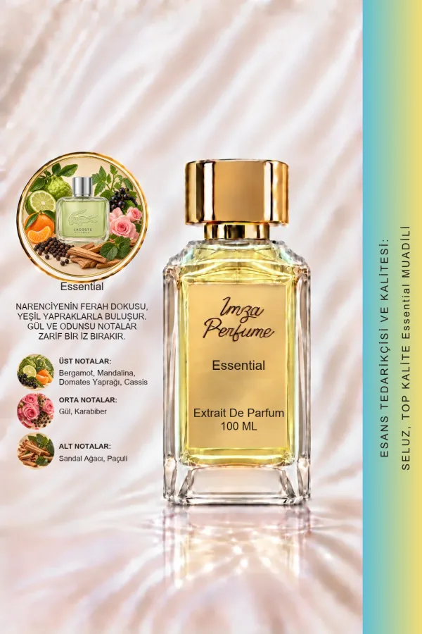 Lacoste Essential Muadili | Bergamot - Mandalina - Domates Yaprağı - Paçuli | Ferah ve Sportif Intense Erkek Extrait De Parfum